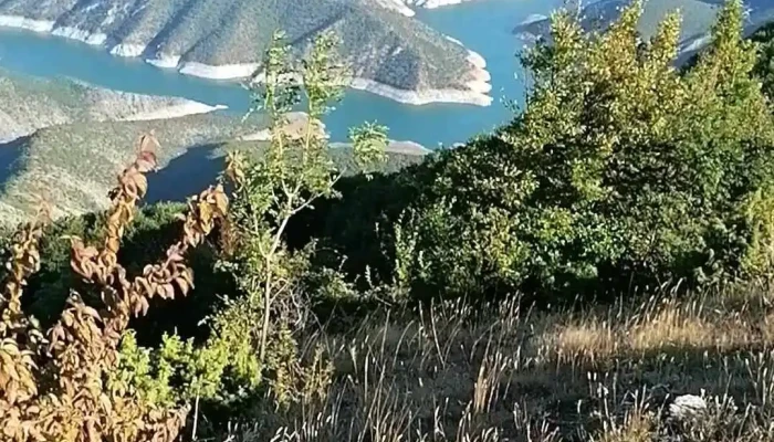 Sedlarevo Sie - Седларево