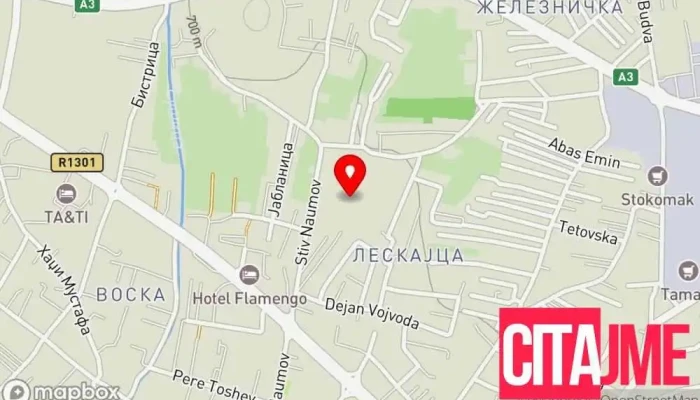 Seso Engineering -  мапа - Охрид