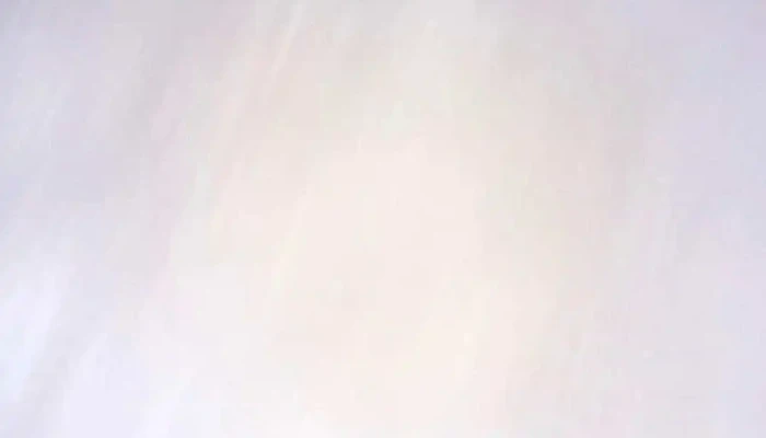 Sobranie Na Opshtina Bosilovo Videa - Bosilovo