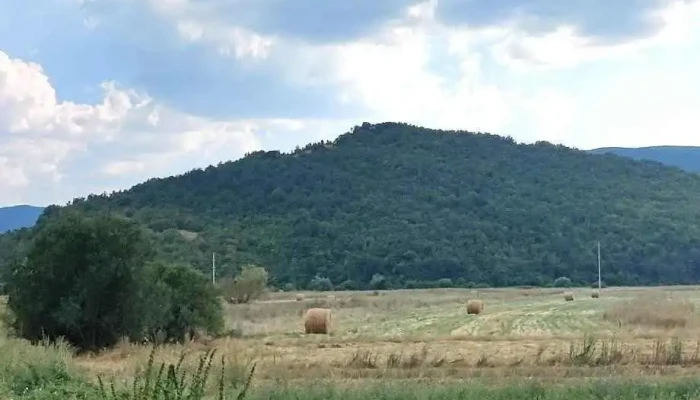 Sobranie Na Opshtina Debrtsa Sie - Belchishta