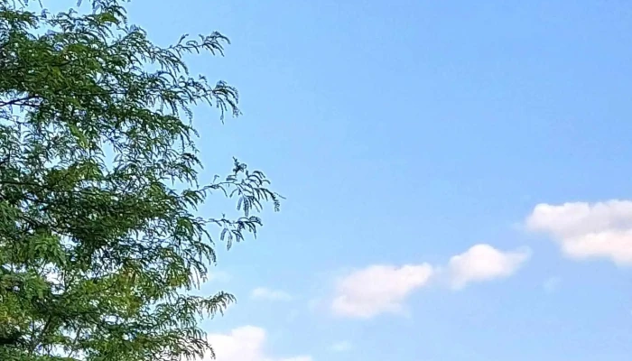 Spomenik Mogila Na Nepobedenite видеа - Прилеп