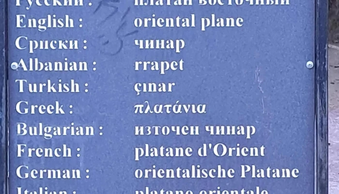 Stara Charshija блиску до мене - Охрид