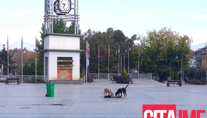 Strumitsa Sie - Струмица