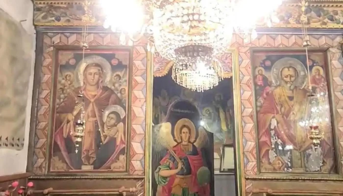 Svgeorgij Videa - Цапари