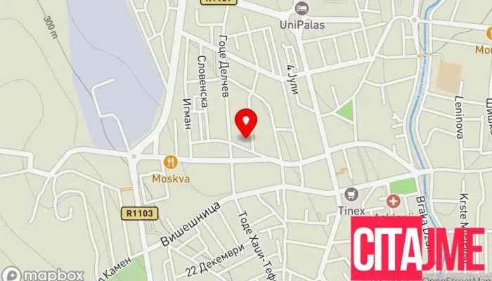 Teritorijalna Protivpozharna Edinitsa Tppe Kavadartsi мапа - Кавадарци