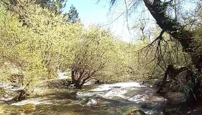 Vevchani Videa - Вевчани
