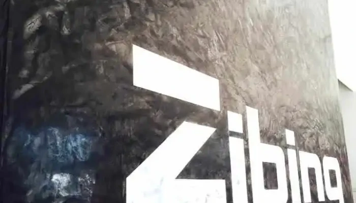 Zibing Co - Neproshteno