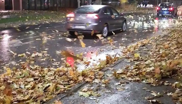 Zlaten Rid Videa - Битола