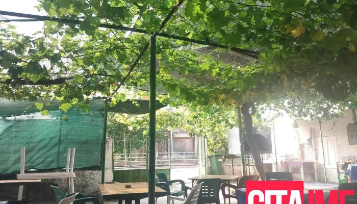 Кафана Коле ( Rakija and Salad Bar - Kole ) - Demir Kapija