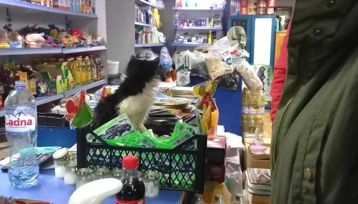 Маркет Буги Дооел - Берово