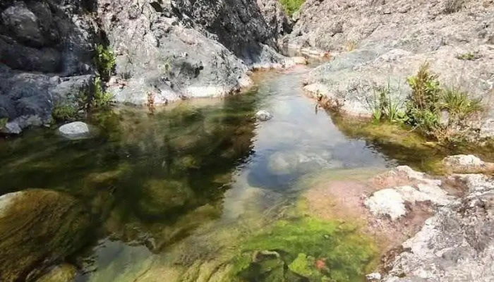 Општина Гевгелиjа - North Macedonia