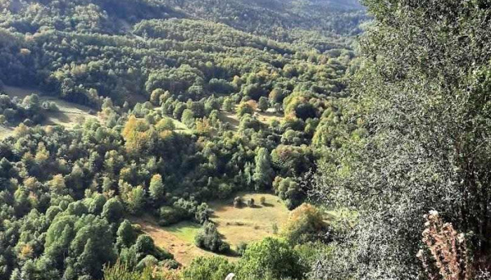 Општина Тетово - North Macedonia