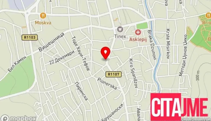 Пзу Аптека Камелија Кавадарци - Кавадарци