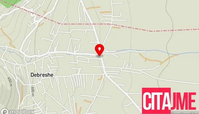 Пошта на Северна Македонија - 1234 Дебреше - Дебреше