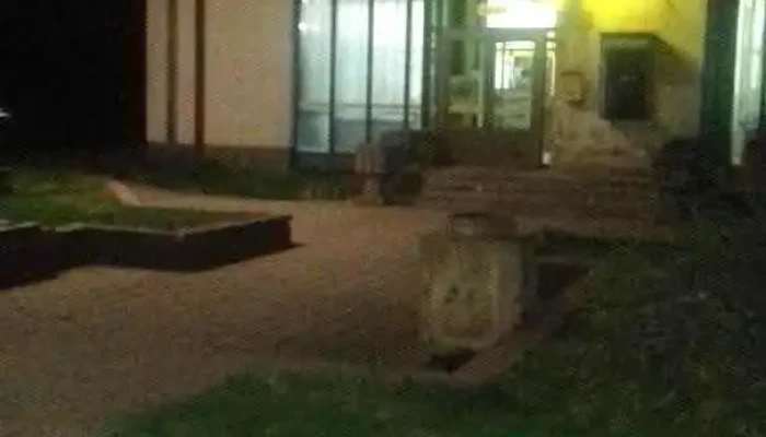 Пошта на Северна Македонија - Виница - Виница