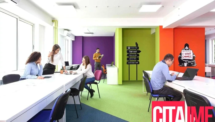 Софтверска компанија „Интелиџент Нетворк Солушнс“ - Скопје 1000