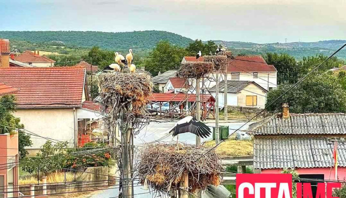Стојаково - Стојаково