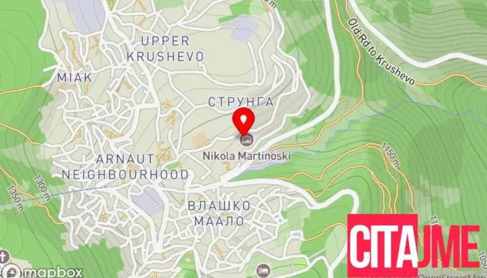 Јавна установа Центар за социјална работа-Крушево - Ulica Shula Mina