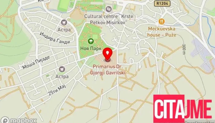 Јзу Здравствен дом "Ѓорѓи Гаврилски" - Свети Николе